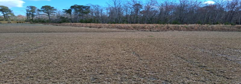 The Dragon Wing Chun Kung Fu School provides classes for training,